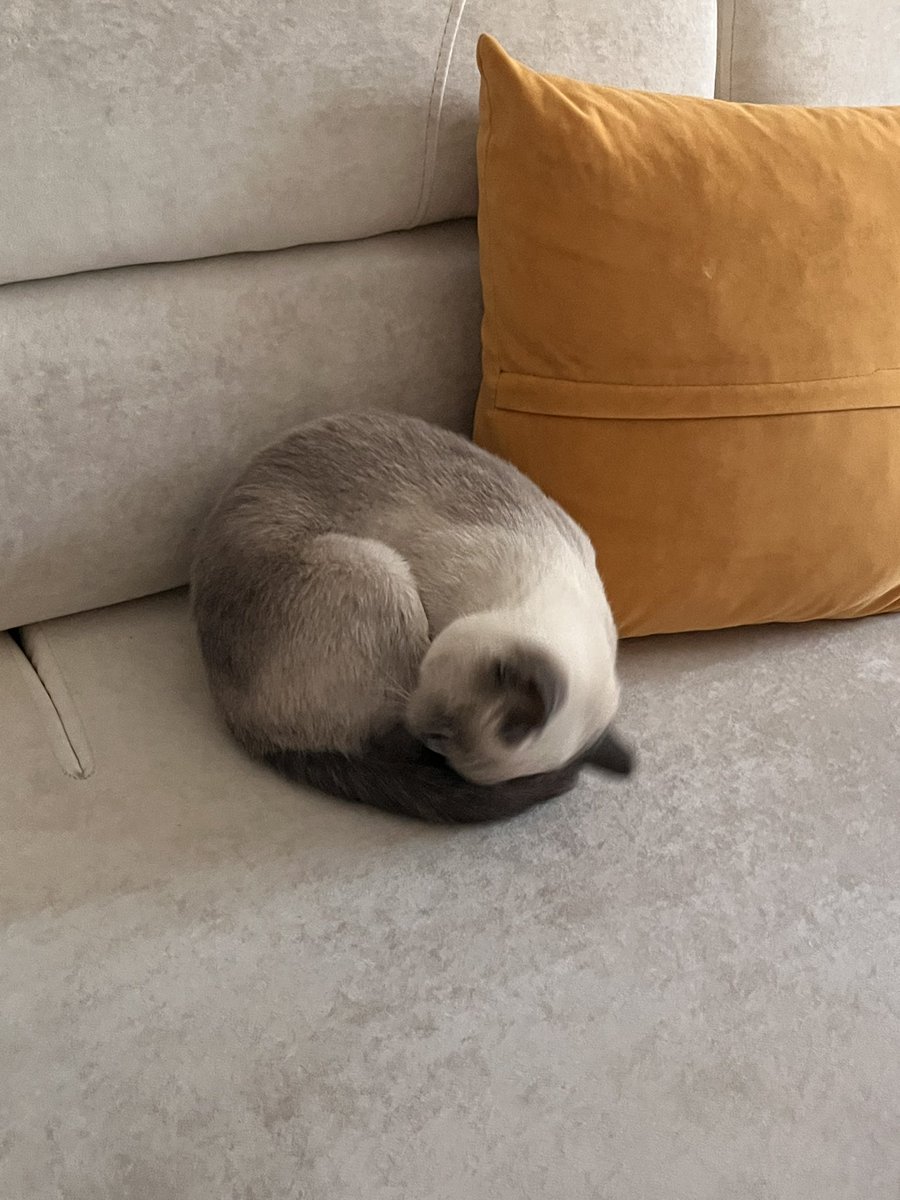 soAYDKG's tweet photo. @onedio 🥺🤍 https://t.co/c2PJN0SiZf