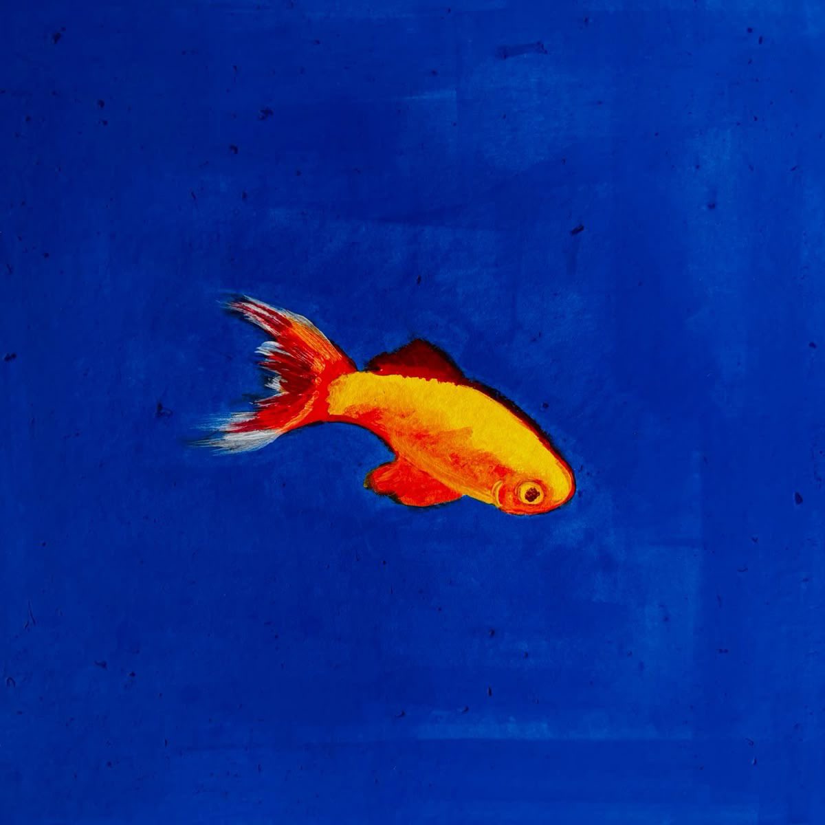 مادي كلاين🦔💀 tweet media