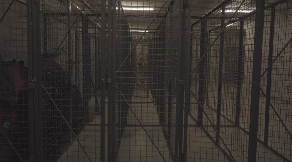 🦇 Pontivflex 🦇 tweet media