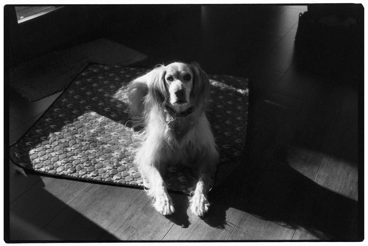 David Gálvez Casellas tweet media