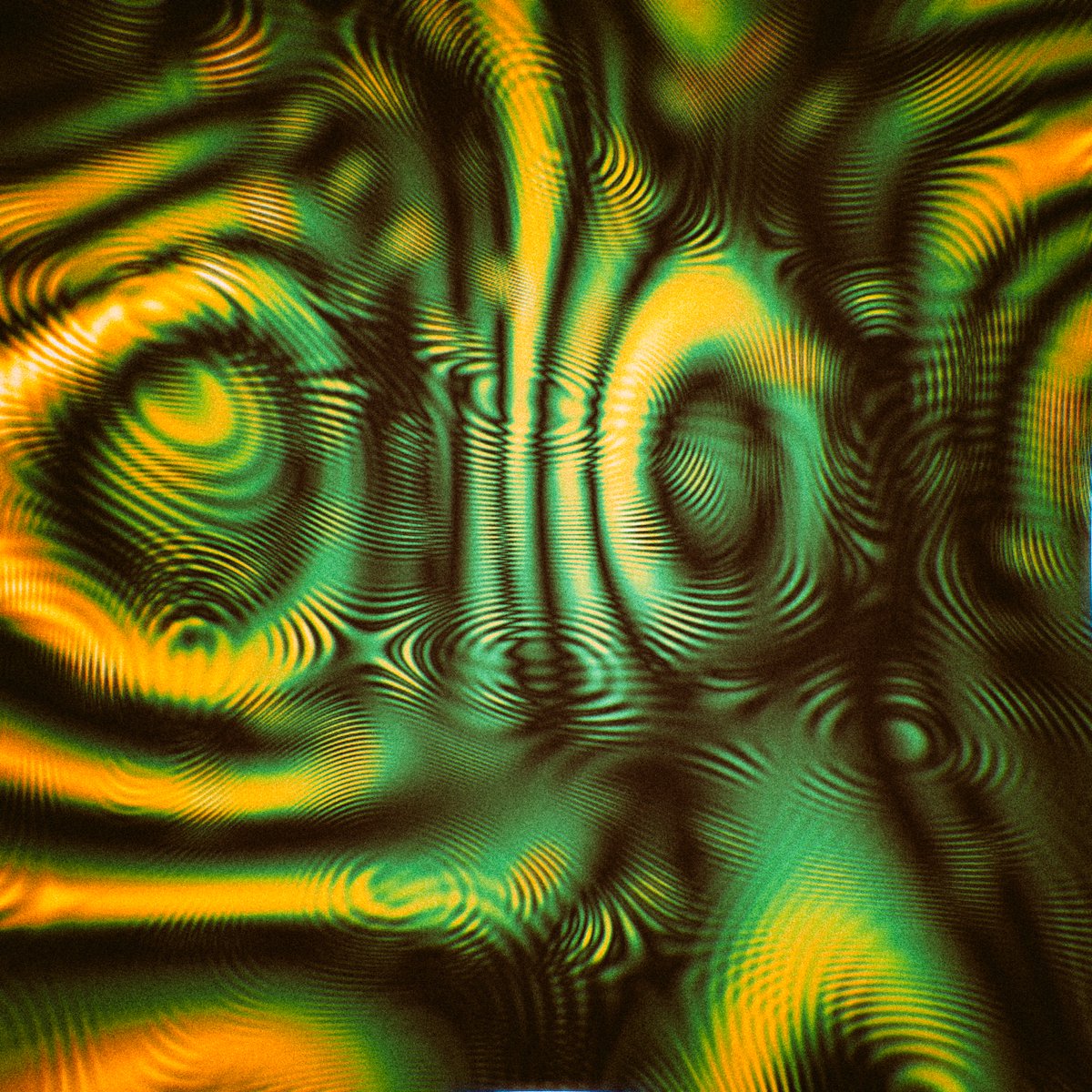 Manoloide tweet media