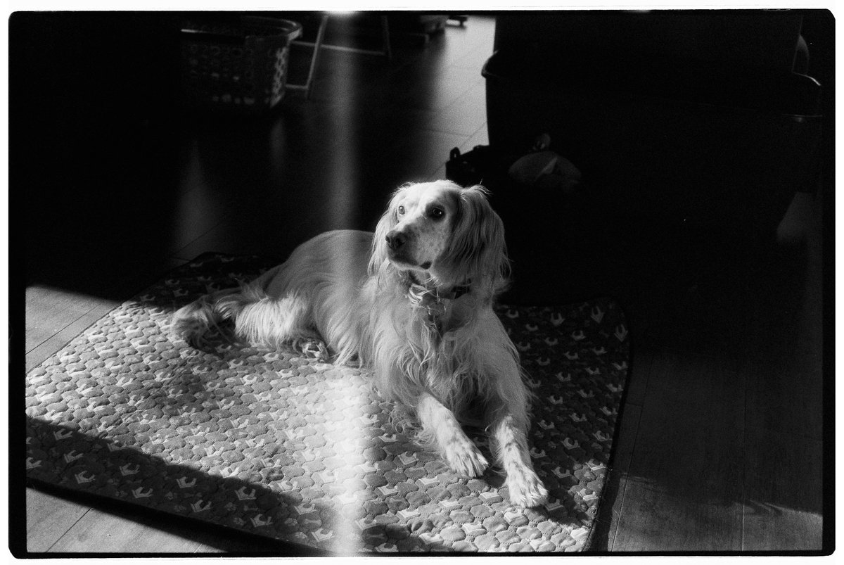 David Gálvez Casellas tweet media