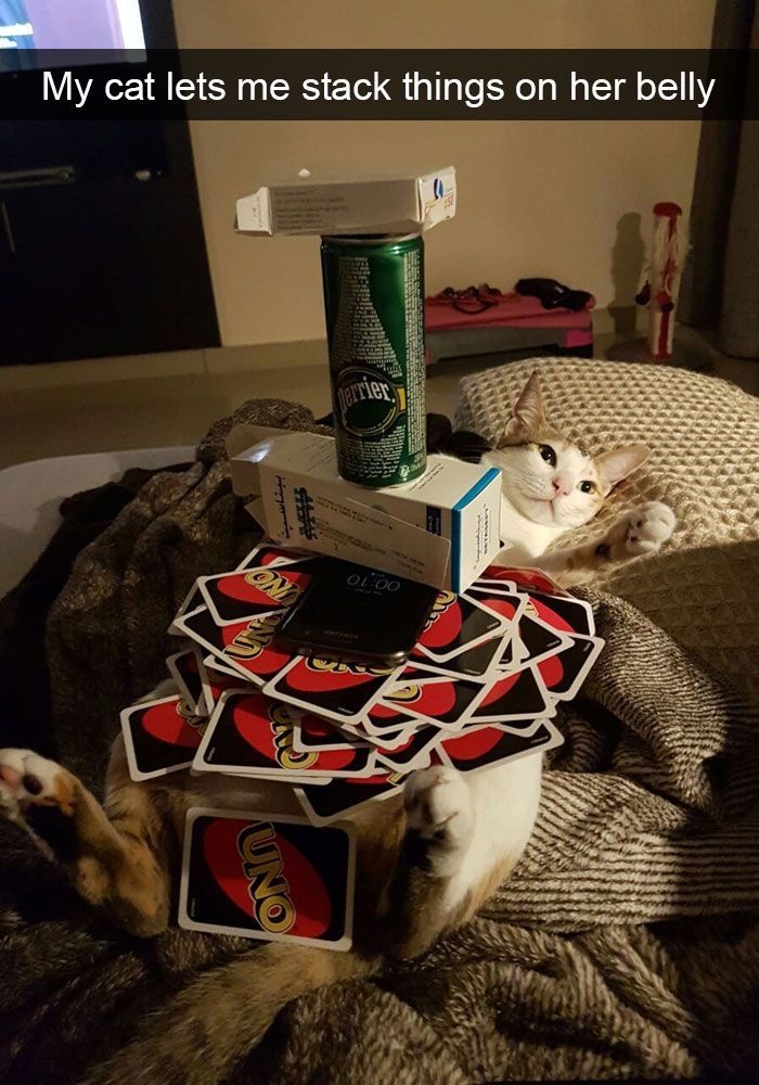 PowerfulAuraX's tweet image. 