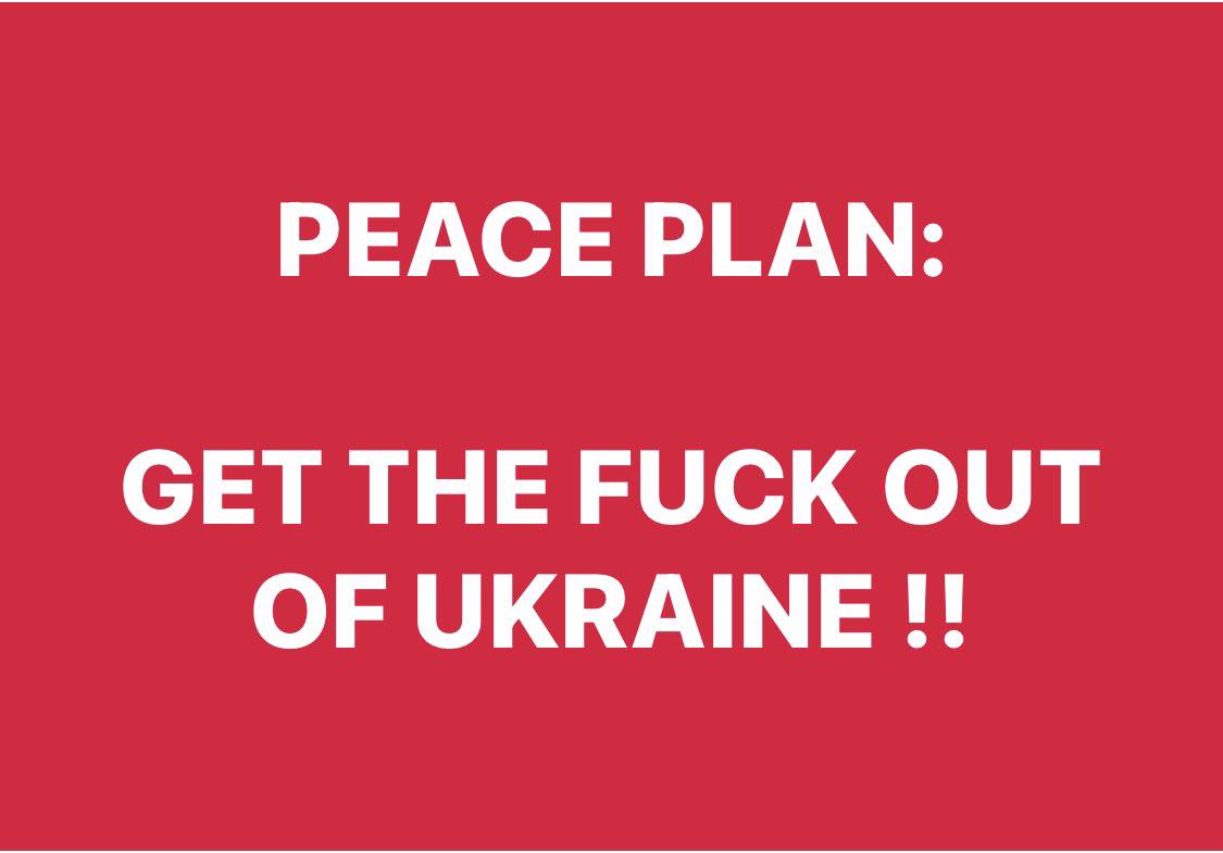 Ukrainians propose their own peace plan: