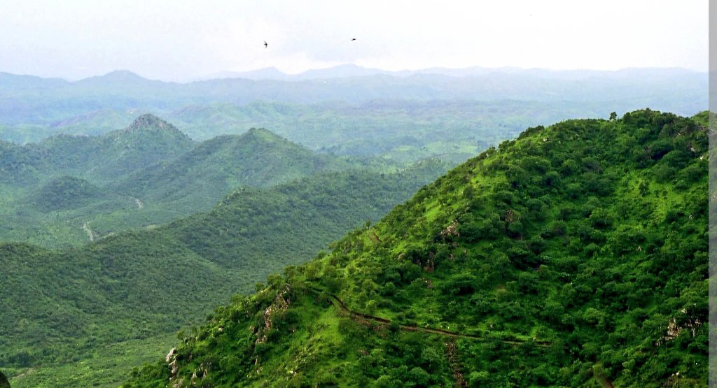 अरावली ऋषि मुनियों की प्राचीन धरोहर है। यह ऋषियों की तपोभूमि और हमारी आध्यात्मिक विरासत का आधार है।
अरावली पर्वतमाला का विनाश धार्मिक आस्था पर प्रहार है।अरावली को राष्ट्रीयधार्मिक एवं पारिस्थितिक धरोहर घोषित किया जावे । 
<a href="/narendramodi/">Narendra Modi</a> <a href="/PMOIndia/">PMO India</a> <a href="/HMOIndia/">गृहमंत्री कार्यालय, HMO India</a> 
#savearavali