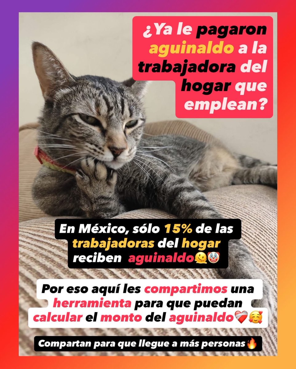 Les traemos nuevamente la Calculadora para el pago de Aguinaldo de Trabajadoras del Hogar: bit.ly/Calculadora_ag…

Recuerden: Las condiciones de las trabajadoras del hogar son tan precarias, que sólo 15% de ellas reciben pago de aguinaldo en México.

Por eso compartimos esta