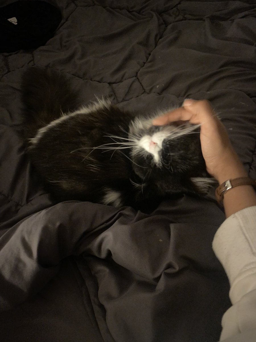 2 (@bxizv1) on Twitter photo 