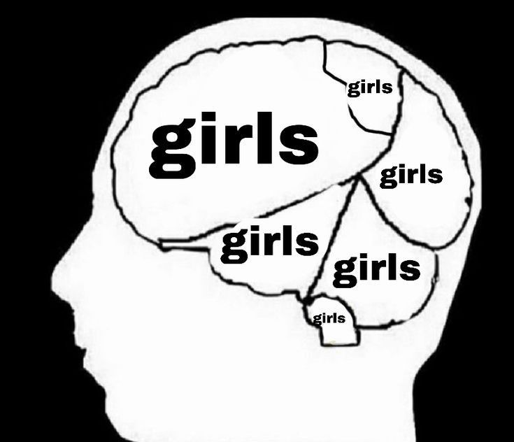 violet_franz's tweet image. 