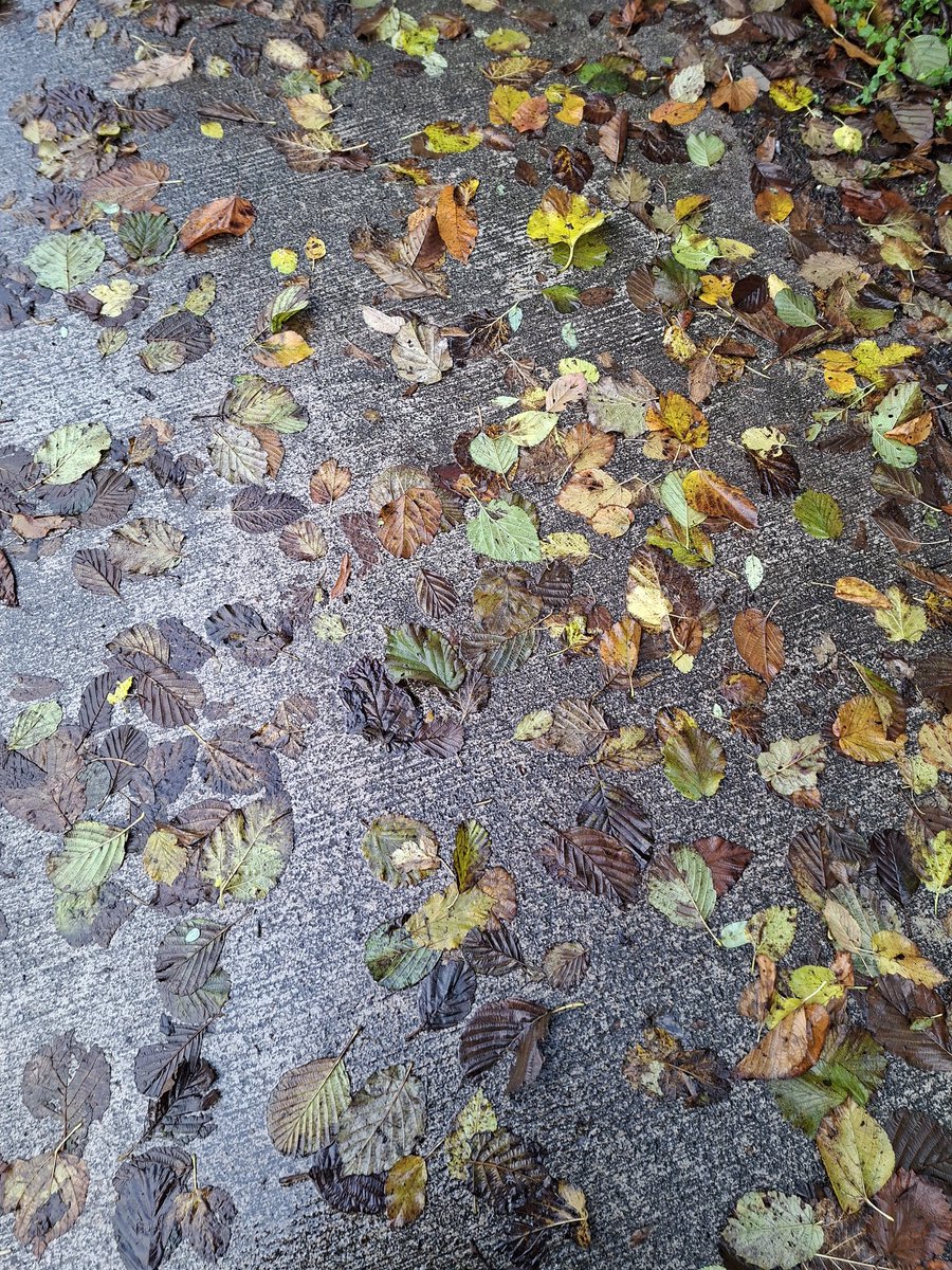 Her yeni merhalenin acemisiyiz, yaşarken.