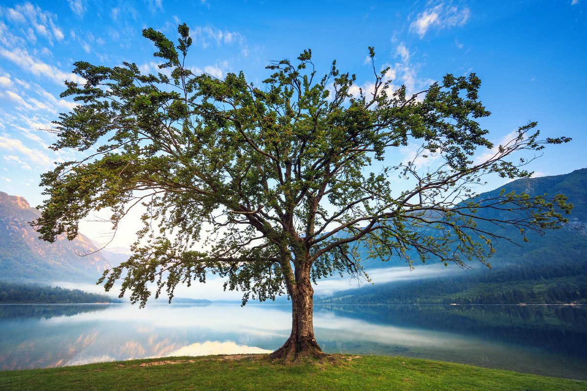 VisionSynergy tweet media