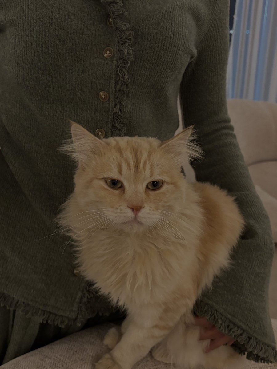 fafafaOctober's tweet image. 