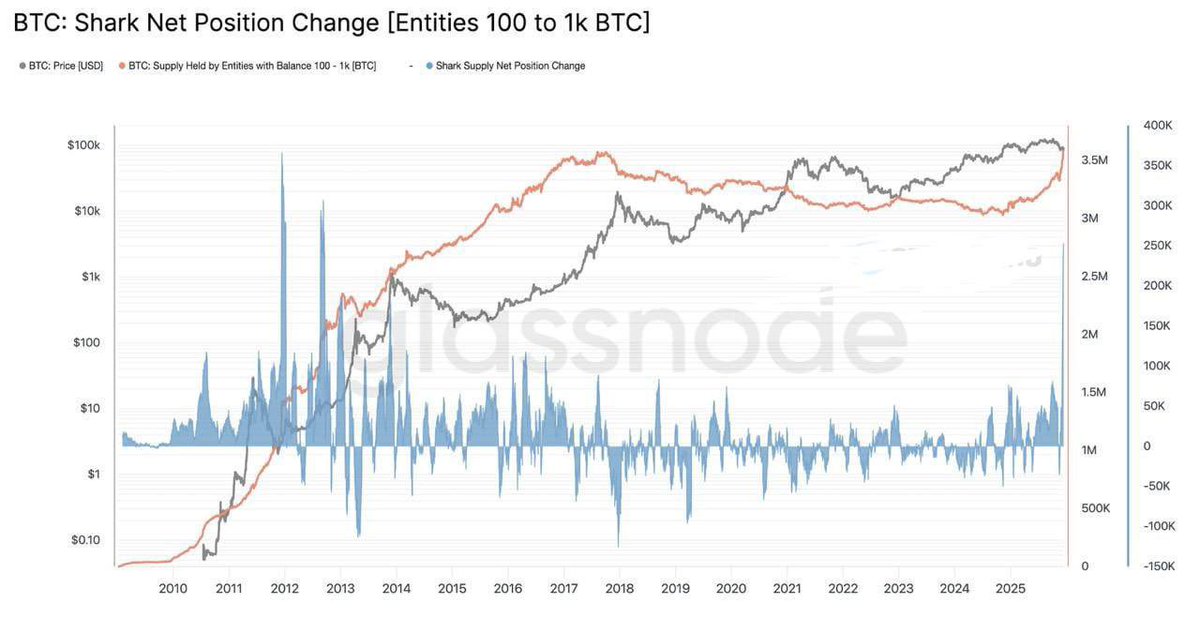 Vivek4real_'s tweet image. WHALES JUST BOUGHT $5,000,000,000 WORTH OF #BITCOIN IN THE PAST WEEK, THE FASTEST BUY PACE SINCE 2012.

SOMETHING IS COMING BIG TIME 👀