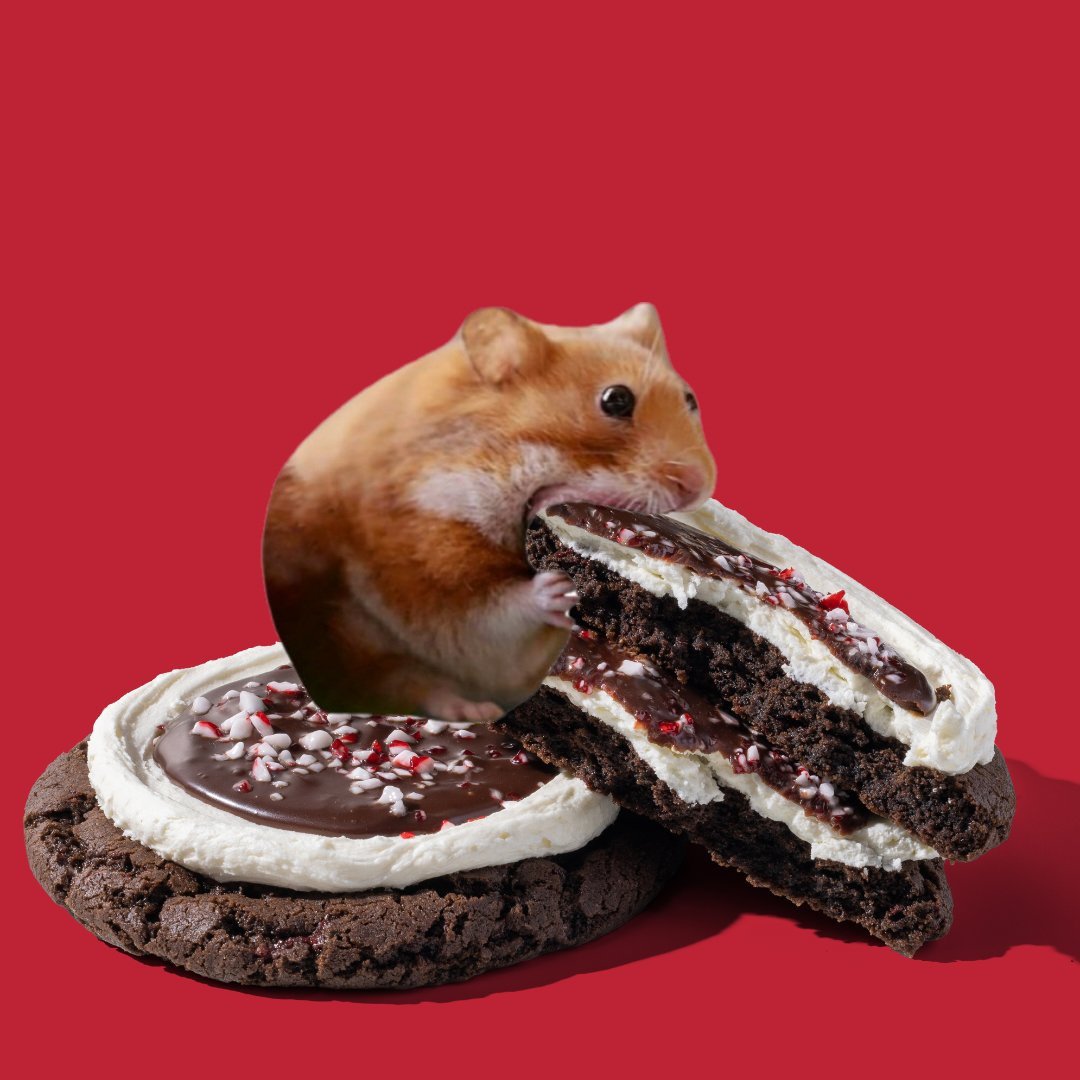 sketchi420's tweet image. @crumbl has made Nomnom's day!
These look absolutely delicious!!! 
#hungryhamster