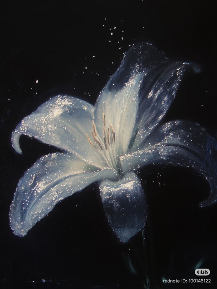 Black. (@blackdreamvibes) on Twitter photo 