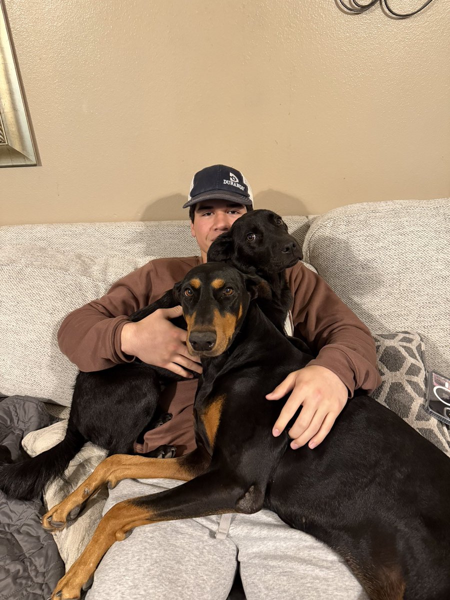 All of my babies ❤️