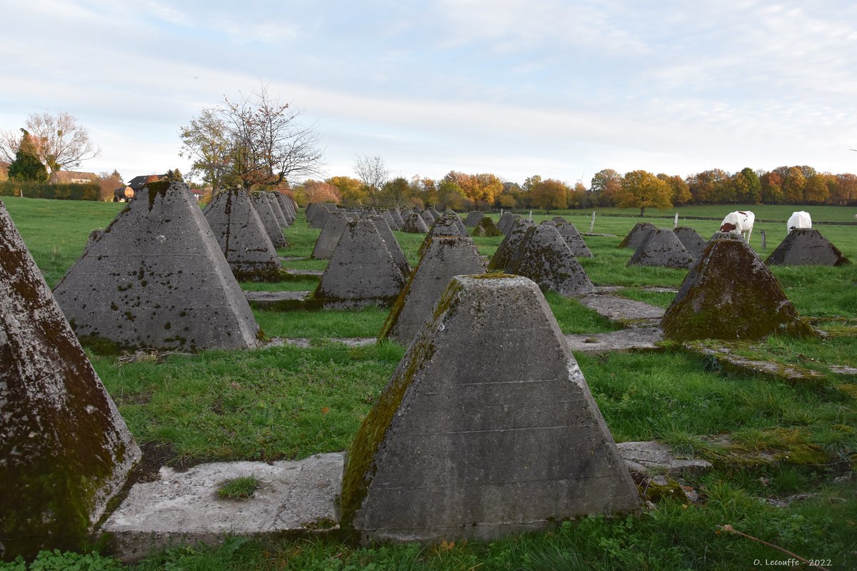 Olivier L. tweet media