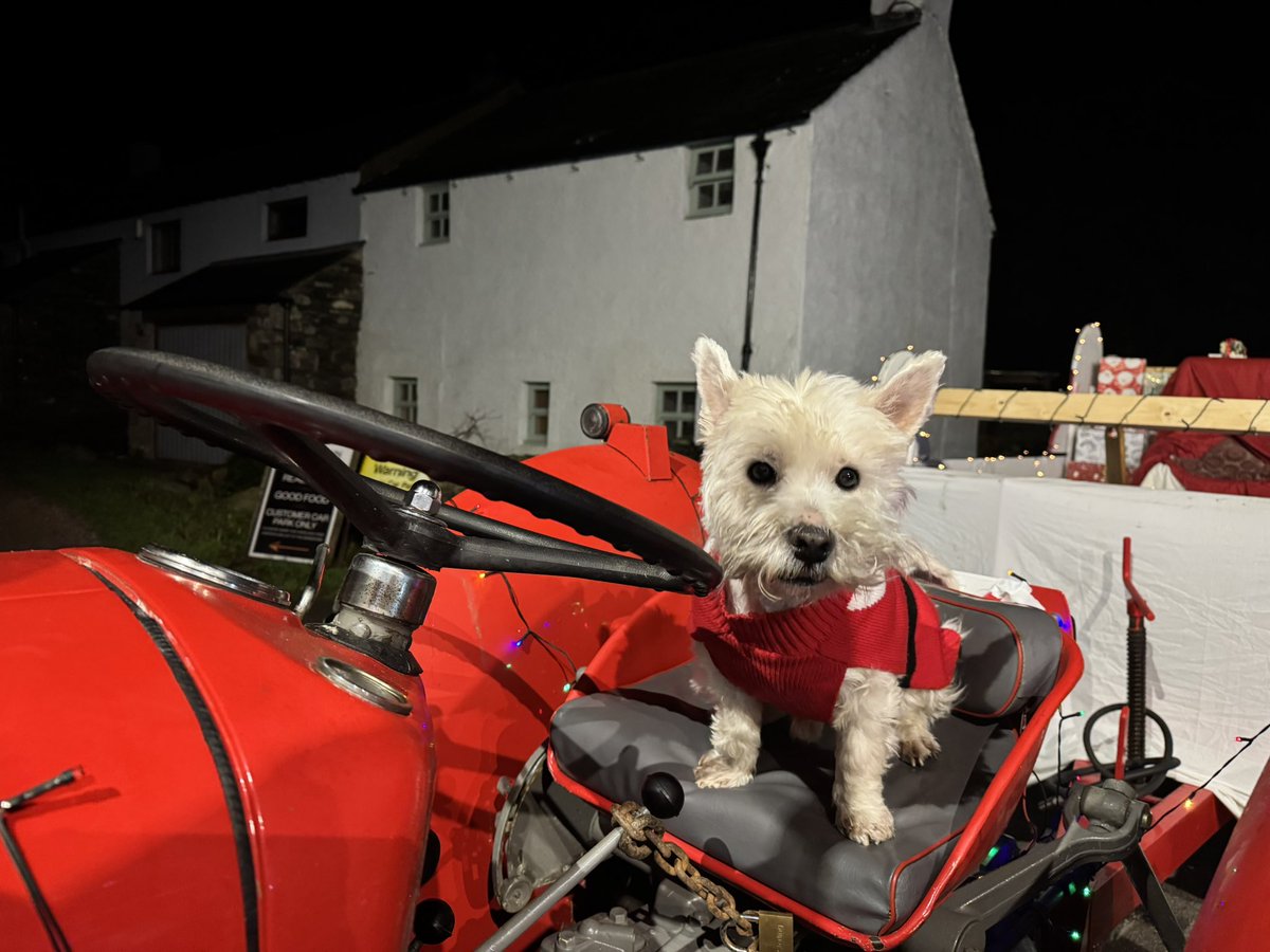 Driving Santa’s Sleigh guarding him from da Zombies #ZSHQ