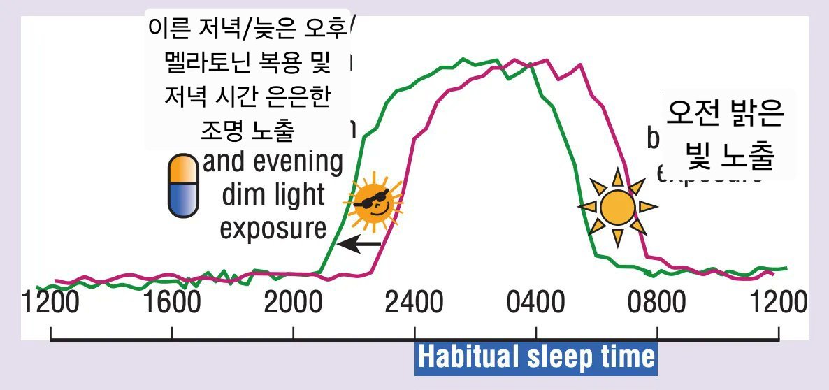 ADHD 성인 환자를 위한 저용량 멜라토닌(매일 밤 0.5mg)의 효과:
↑ DLMO는 88분 앞당겨졌습니다.
↓ ADHD 증상이 14% 감소했습니다.
핵심은 복용량이 아니라 복용 시간입니다. DLMO 3시간 전(원하는 취침 시간 약 5시간 전)에 멜라토닌을 복용하면 수면 위상이 앞당겨집니다.