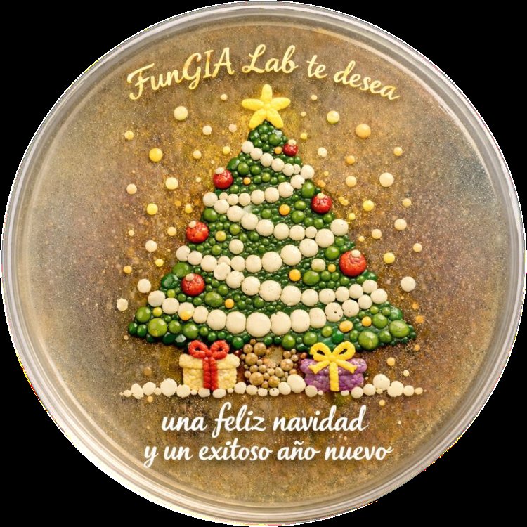 FunGIA_Lab 🔬🍄🍺🍷♻️ tweet media