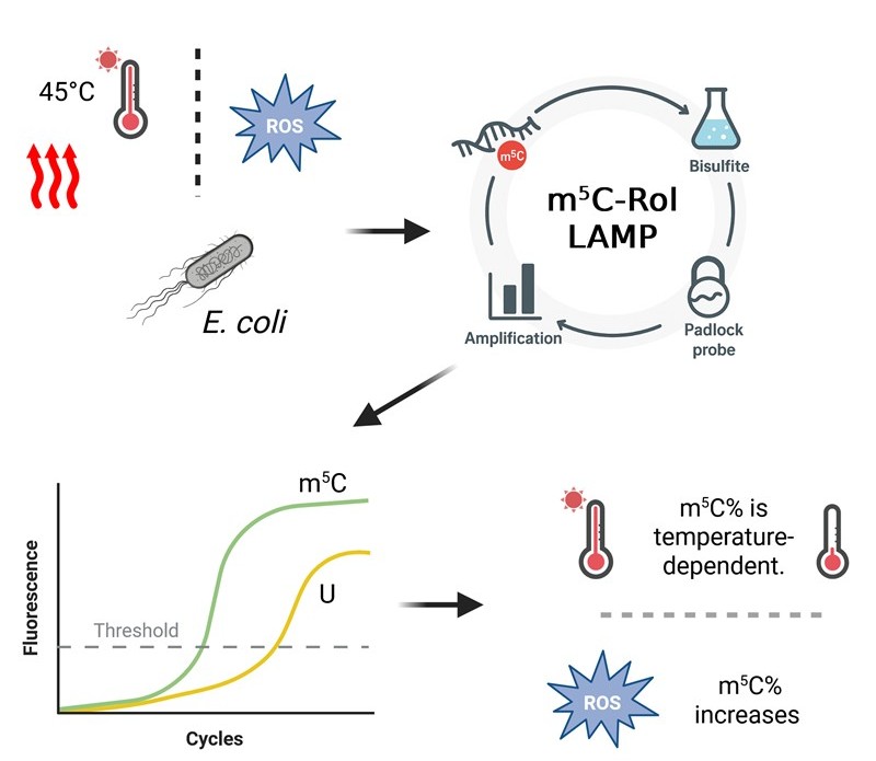 RNA tweet media