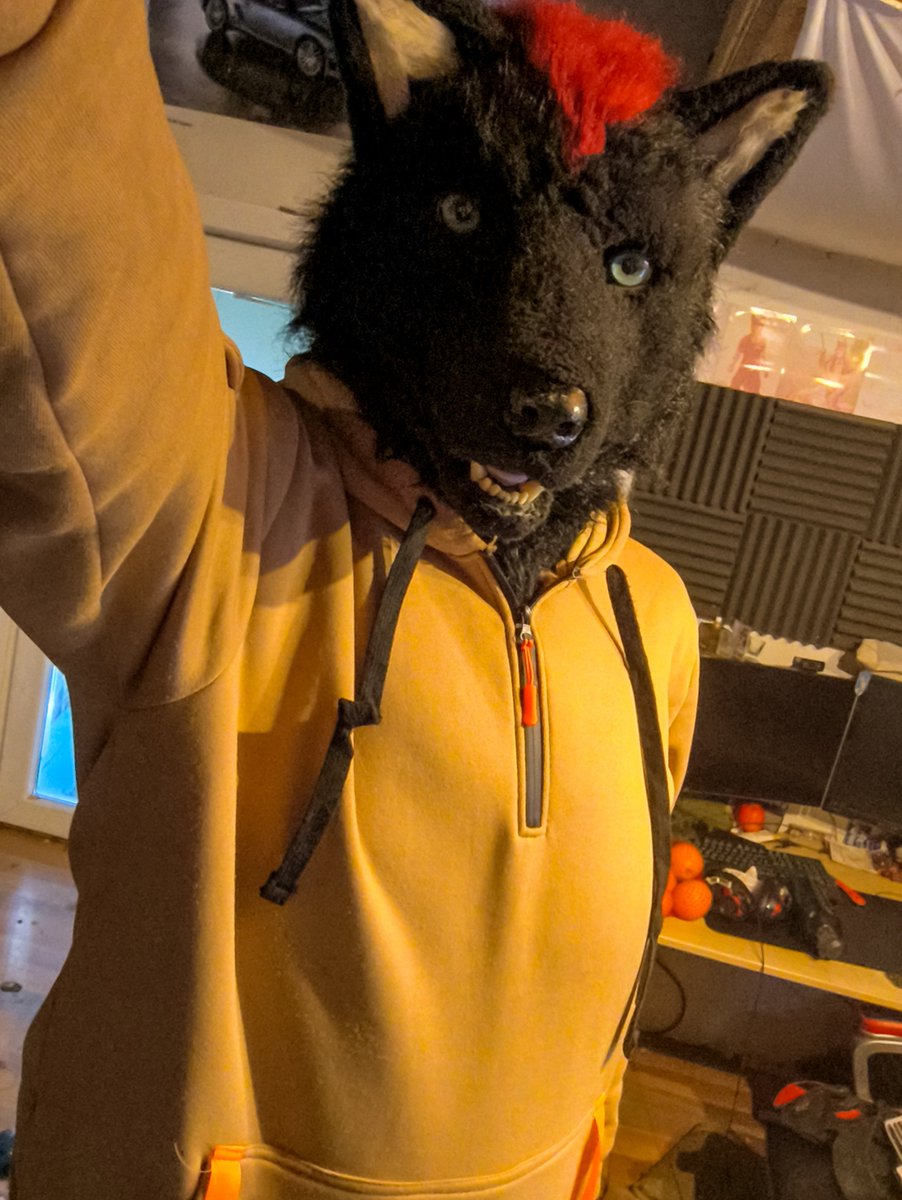 TheGermanWolf's tweet photo. @CoreyCoyote https://t.co/BajX2SgX7b