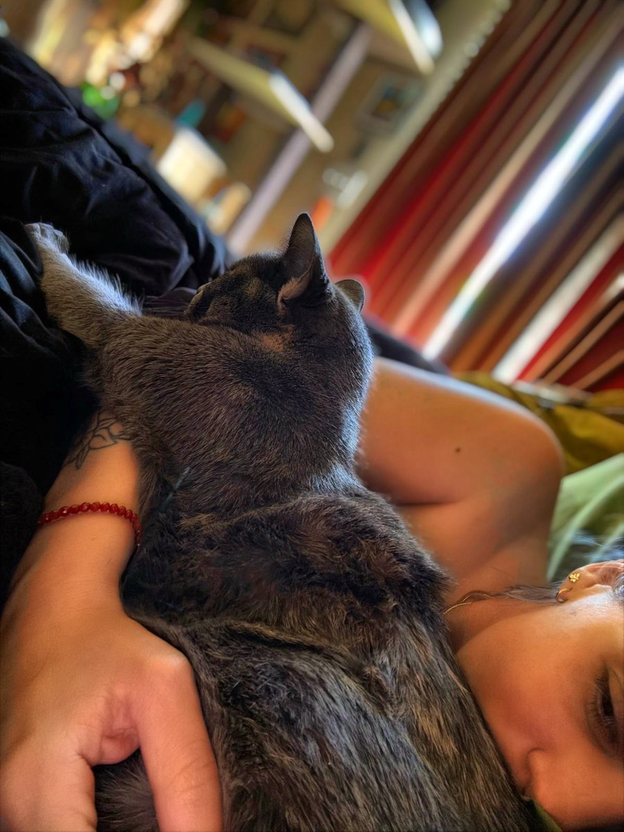 Liana Ruppert tweet media