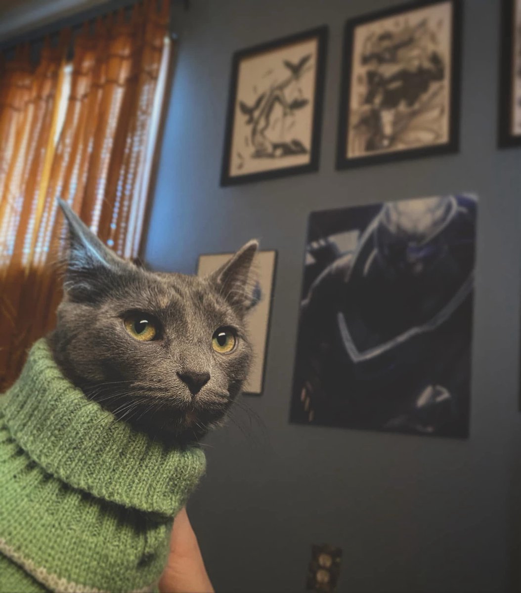 Liana Ruppert tweet media