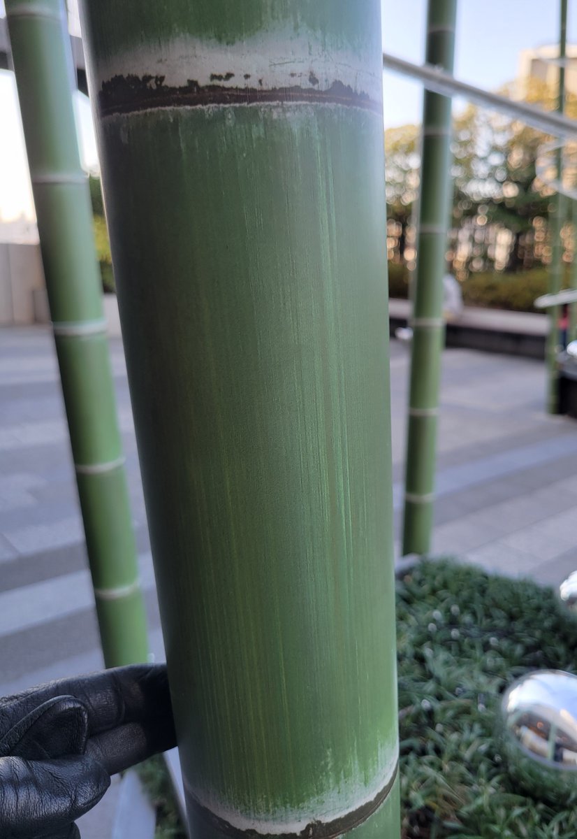 【たけとら】 会社概要（TAKETORA The company explanation） | 虎斑竹専門店 竹虎