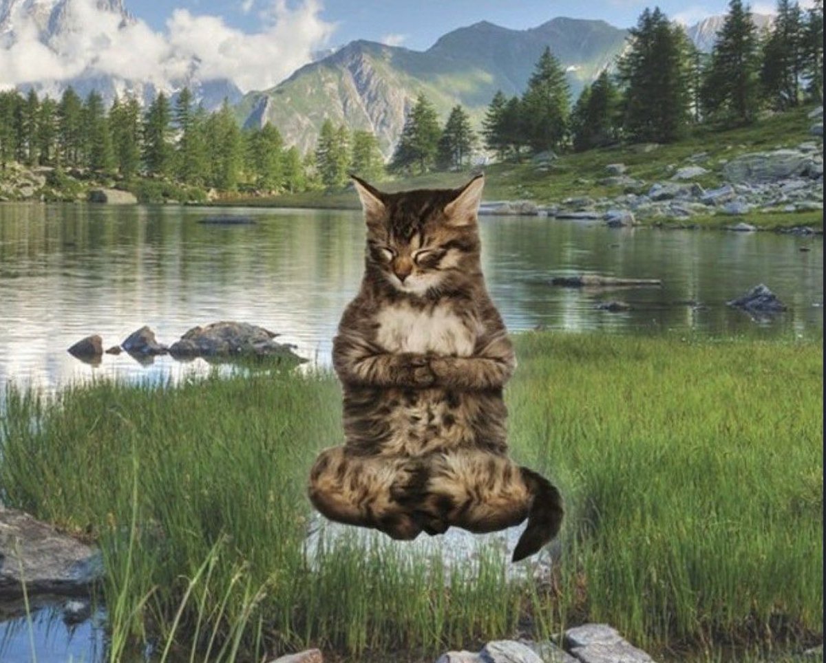 gyxwso's tweet image. ya perdí la cuenta de la cantidad de veces que este año tuve que fingir demencia y seguir