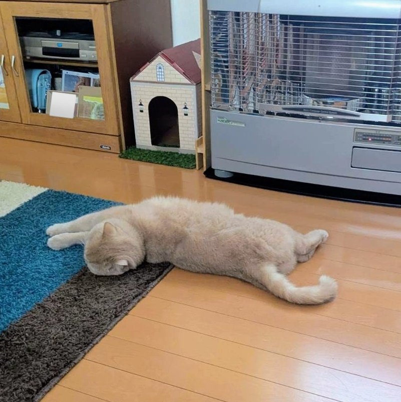 ダブルごろごろ〜🍀🍀