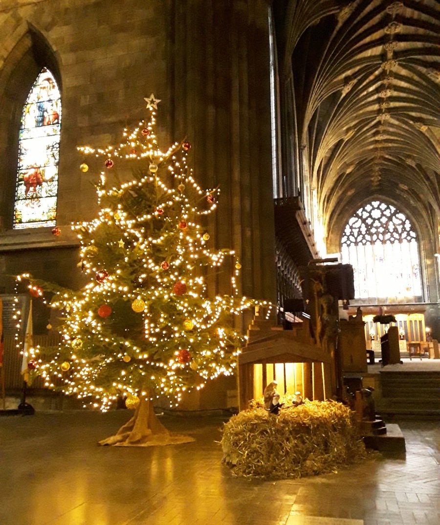 Geoff's-Vision tweet media