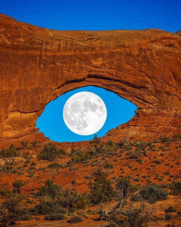 Moon eye