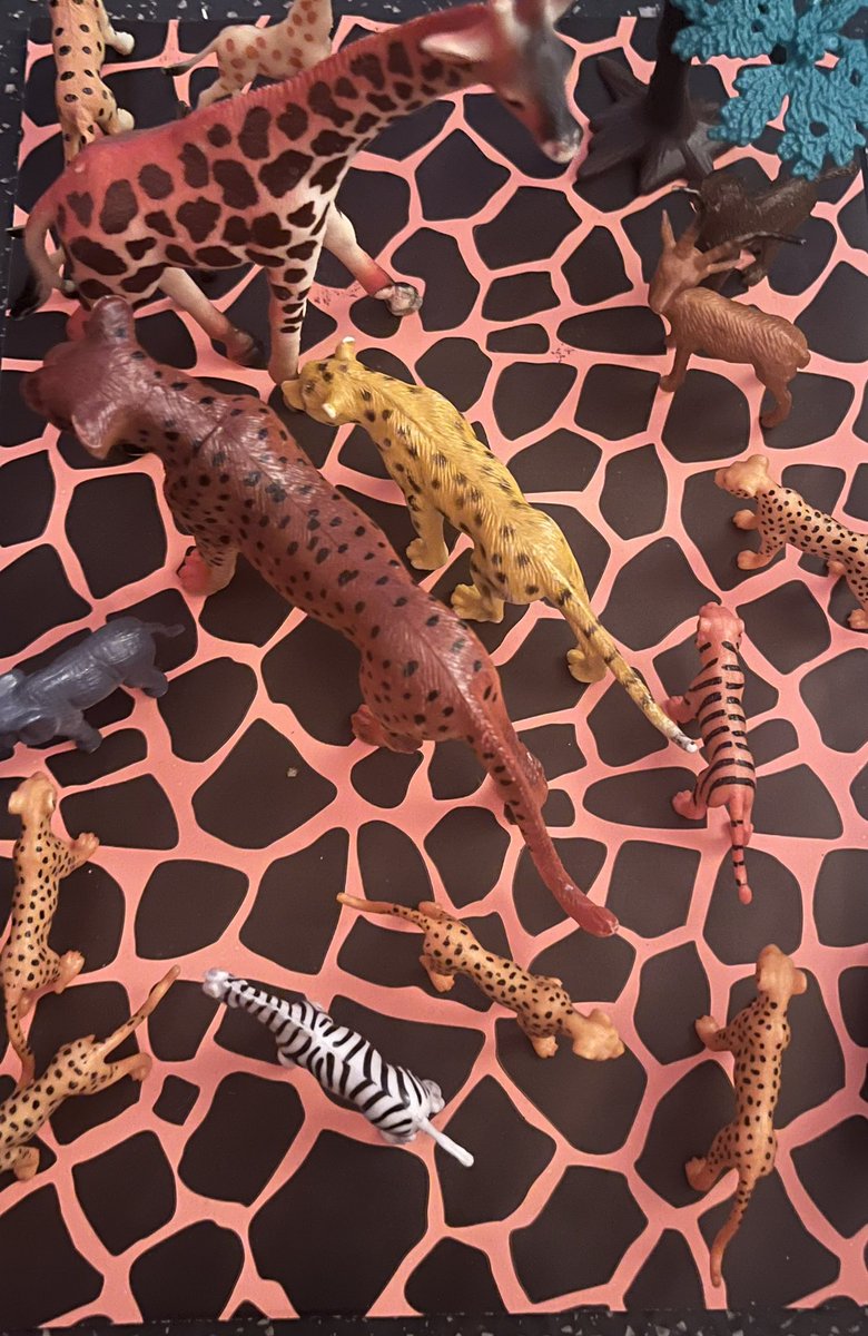 jennyeclair's tweet image. The new savanna #camouflage