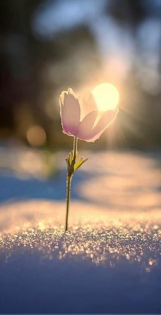 �\�[�V�����}�K�W���w�R�X���f�B�A�h�b�g�R��!!�x:�ŐV���𐏎��X�V��!!