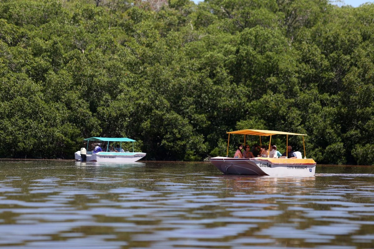 Los paradores turísticos de Cultur consolidan su presencia en la oferta turística de Yucatán. 

Durante 2025, cerca de 3.2 millones de visitantes recorrieron estos espacios, fortaleciendo el rumbo turístico hacia 2026.  

👉🏼 + info. en el #boletínCultur: [yucatan.gob.mx/saladeprensa/v…]