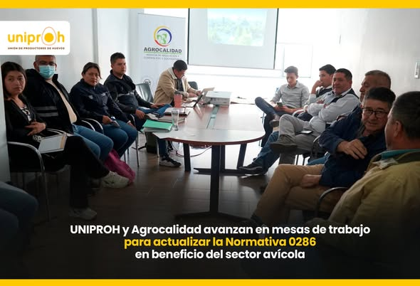 Unión de Productores de Huevos tweet media