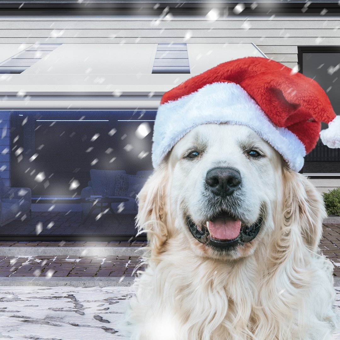 LifeRoomLife's tweet image. Bark the herald angels sing! 🐶

With LifeRoom and LifeRoom Louvered, the whole family can enjoy winter's beauty while staying cozy...even your furry friends!

🏡 #LifeRoomLife #LifeRoomLouvered