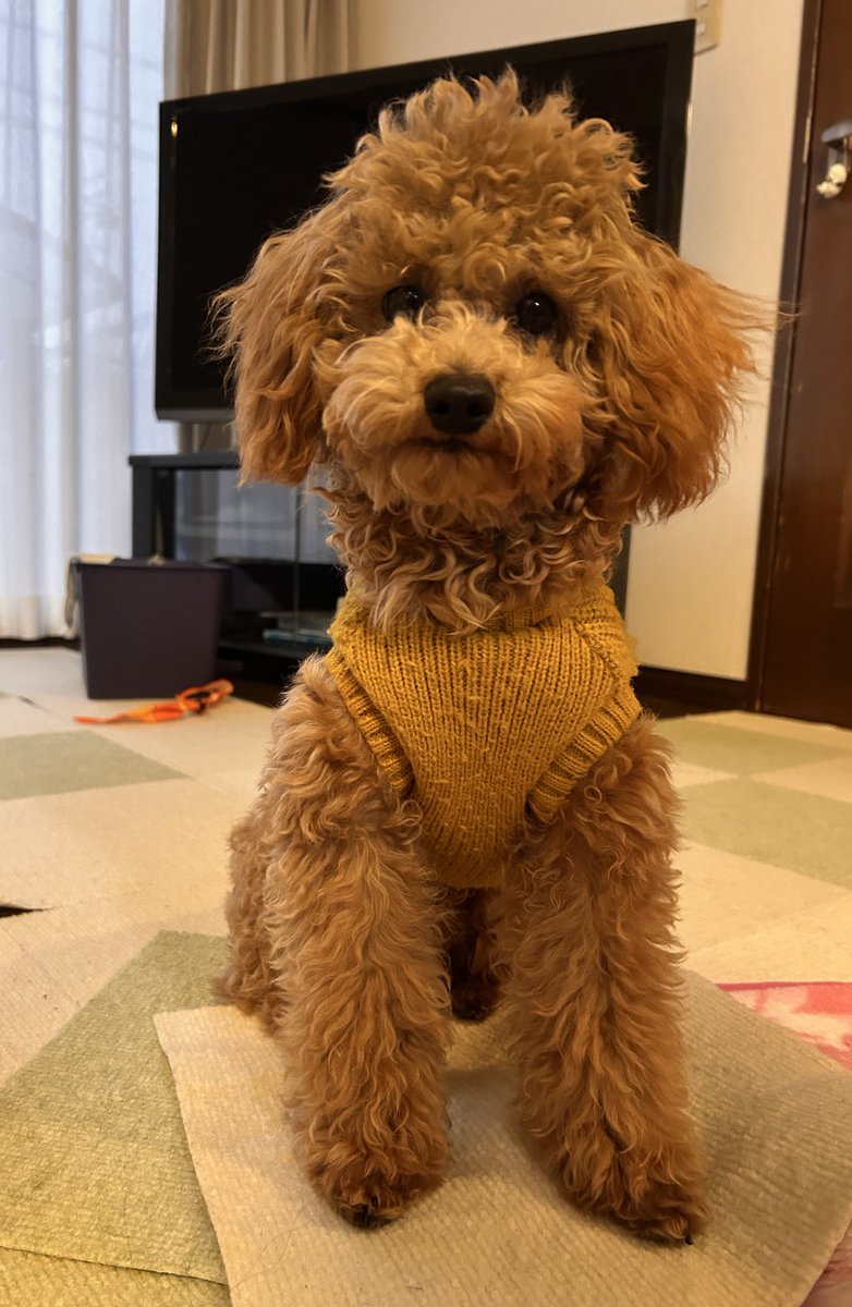 かずちゃん (@kazu13chan) / Posts / X