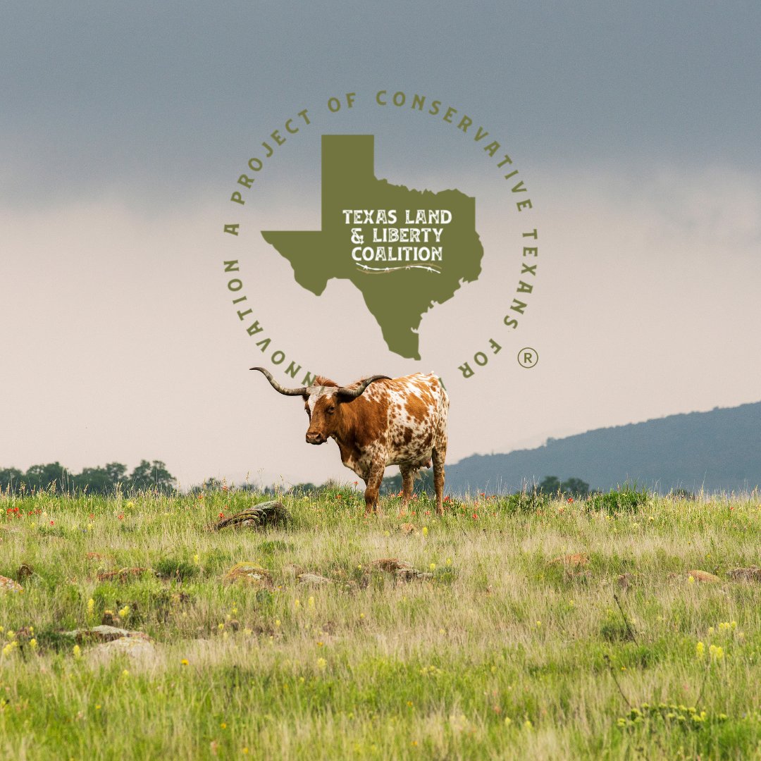 We believe in empowering Texas landowners to take charge of their future and the well-being of their communities. By championing sensible policies that promote clean energy, protect property rights, and enhance local economies, we’re working together for a brighter Texas.