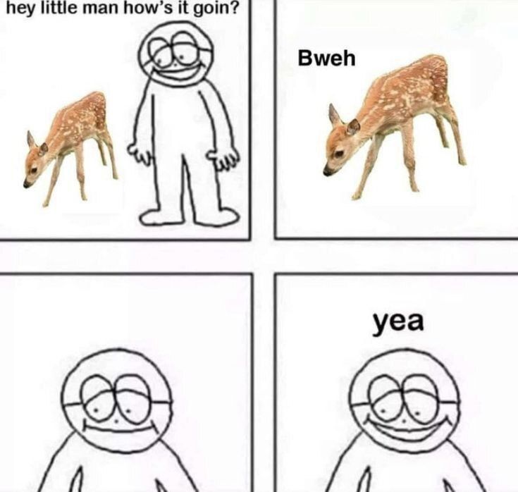 deershouldnt's tweet image. Bweh