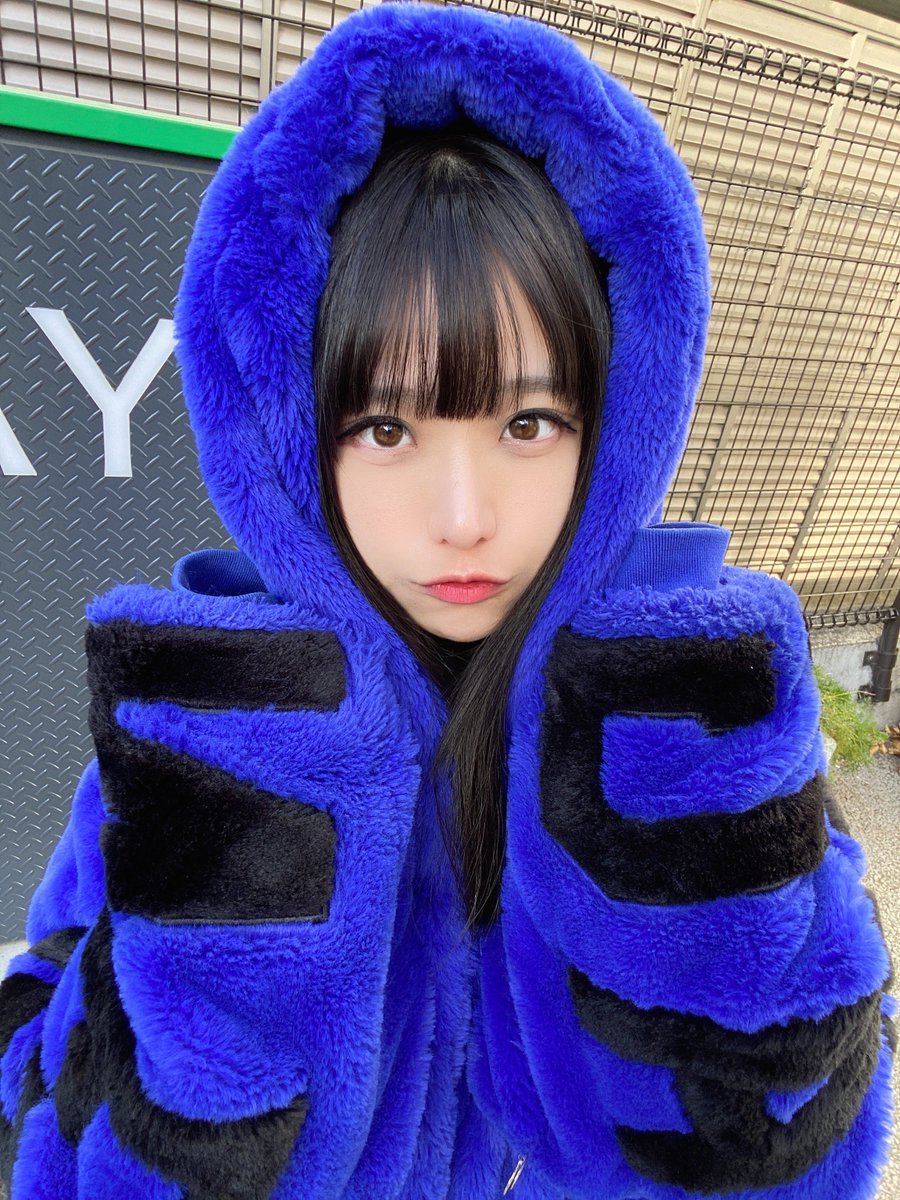 ㊸大きめ苗! 青鬼❣️ちょこん❣️ブルーバニラ❣️紅手鞠❣️発根済 メルカリ便込 Post by 水木春花(はるまし)【Noi/Fen:D】 on X: 青だるま🌀