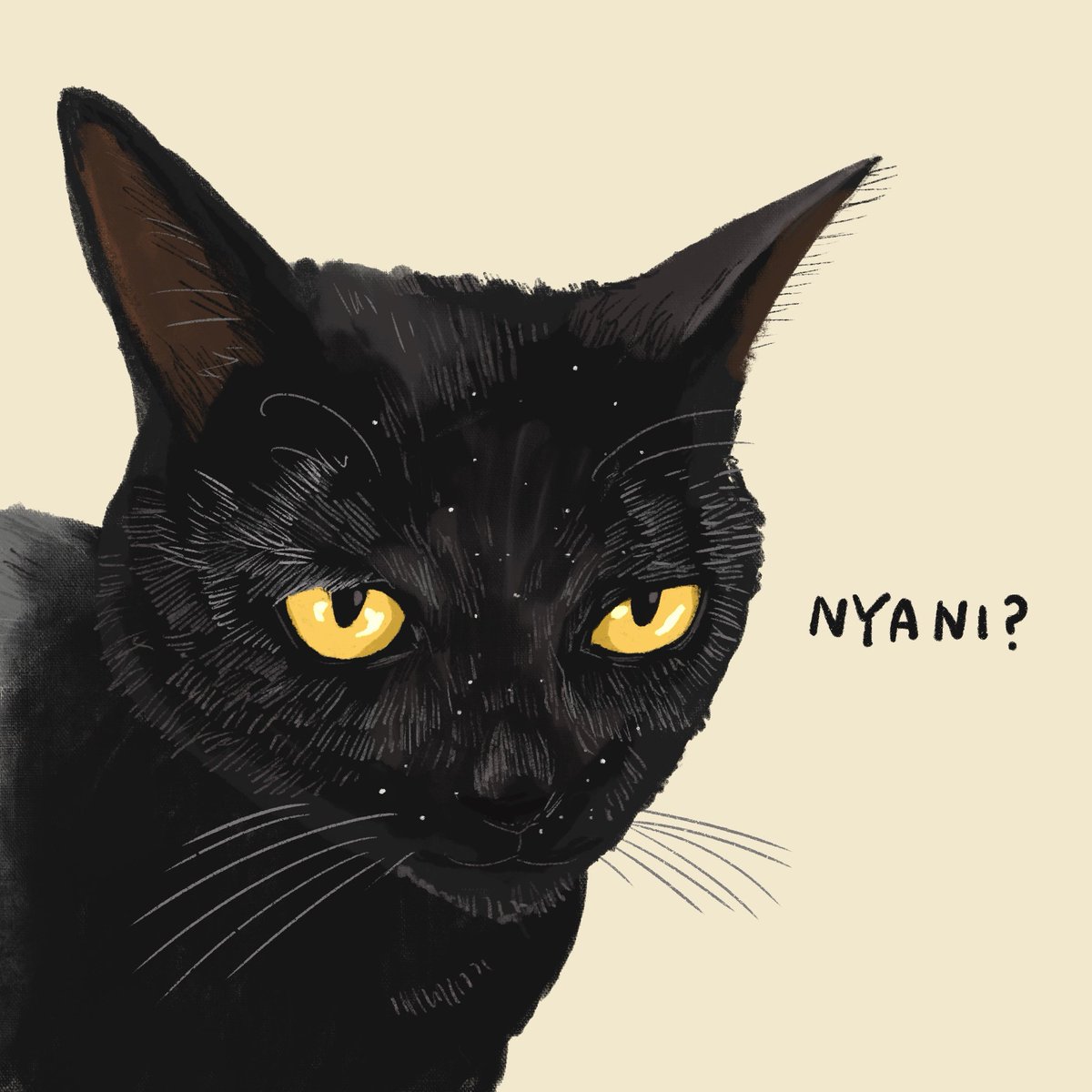 Post by HASECO on X: にゃに？🐈‍⬛