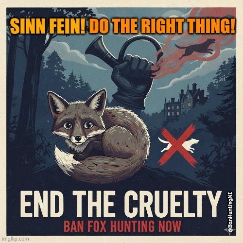 Anti Hunting NI #TeamFoxNI 🇺🇦 tweet media