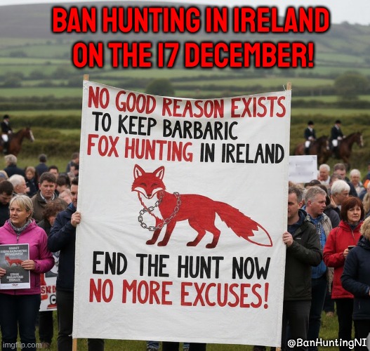 Anti Hunting NI #TeamFoxNI 🇺🇦 tweet media