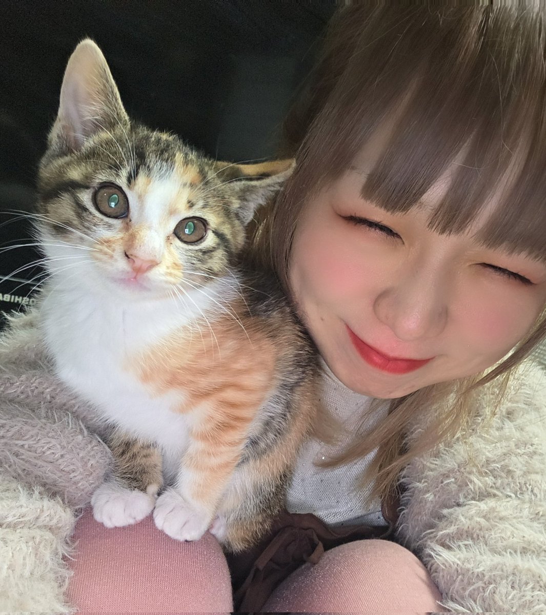 みーにゃん(Mike☆miKe) (@mikemike_mika) / Posts / X