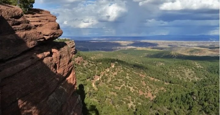 Cristina tweet media