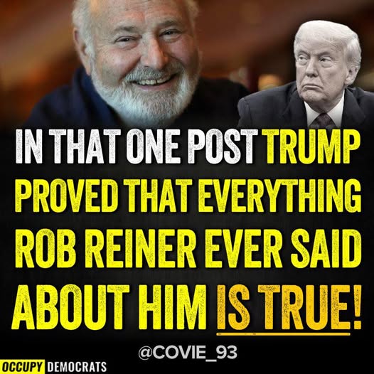 Poppy 💫🇦🇺☮🍅🥒🥕🥭🍊🍋 (@trevor_allan_1) on Twitter photo 