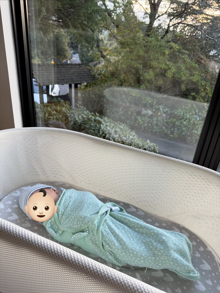 Sarah Wolf tweet media