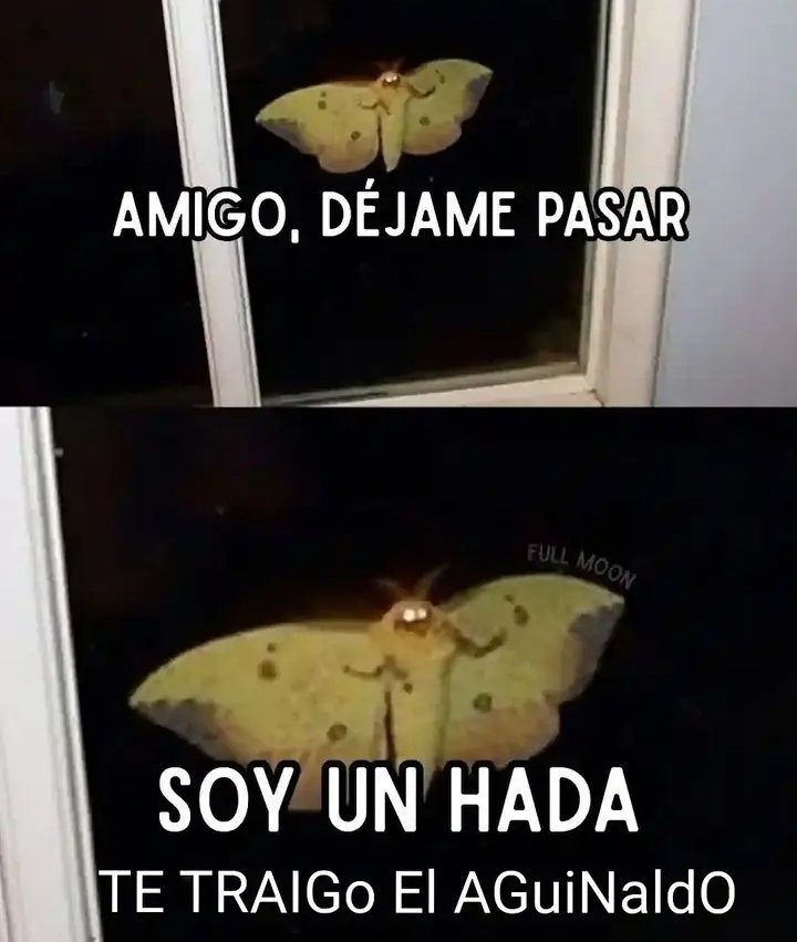 🎉♡SaySay♡🎉 (@saysay309) on Twitter photo 