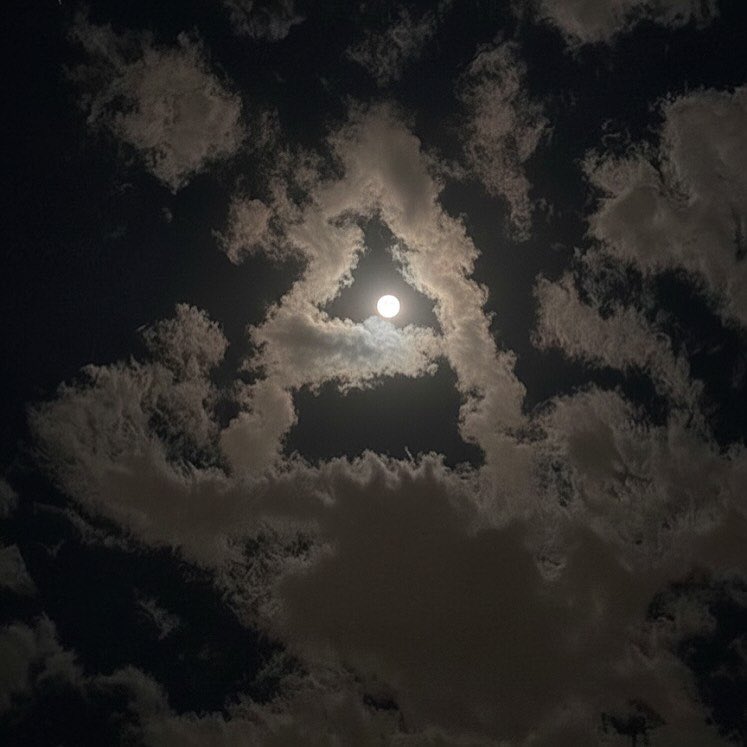 بحر 🌊 (@butterflless) on Twitter photo 